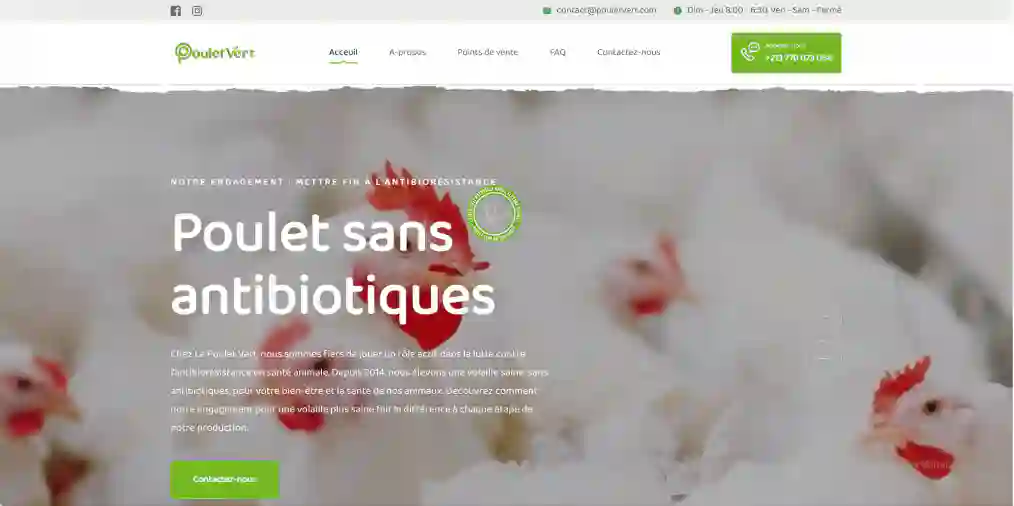 Site web Poulet vert
